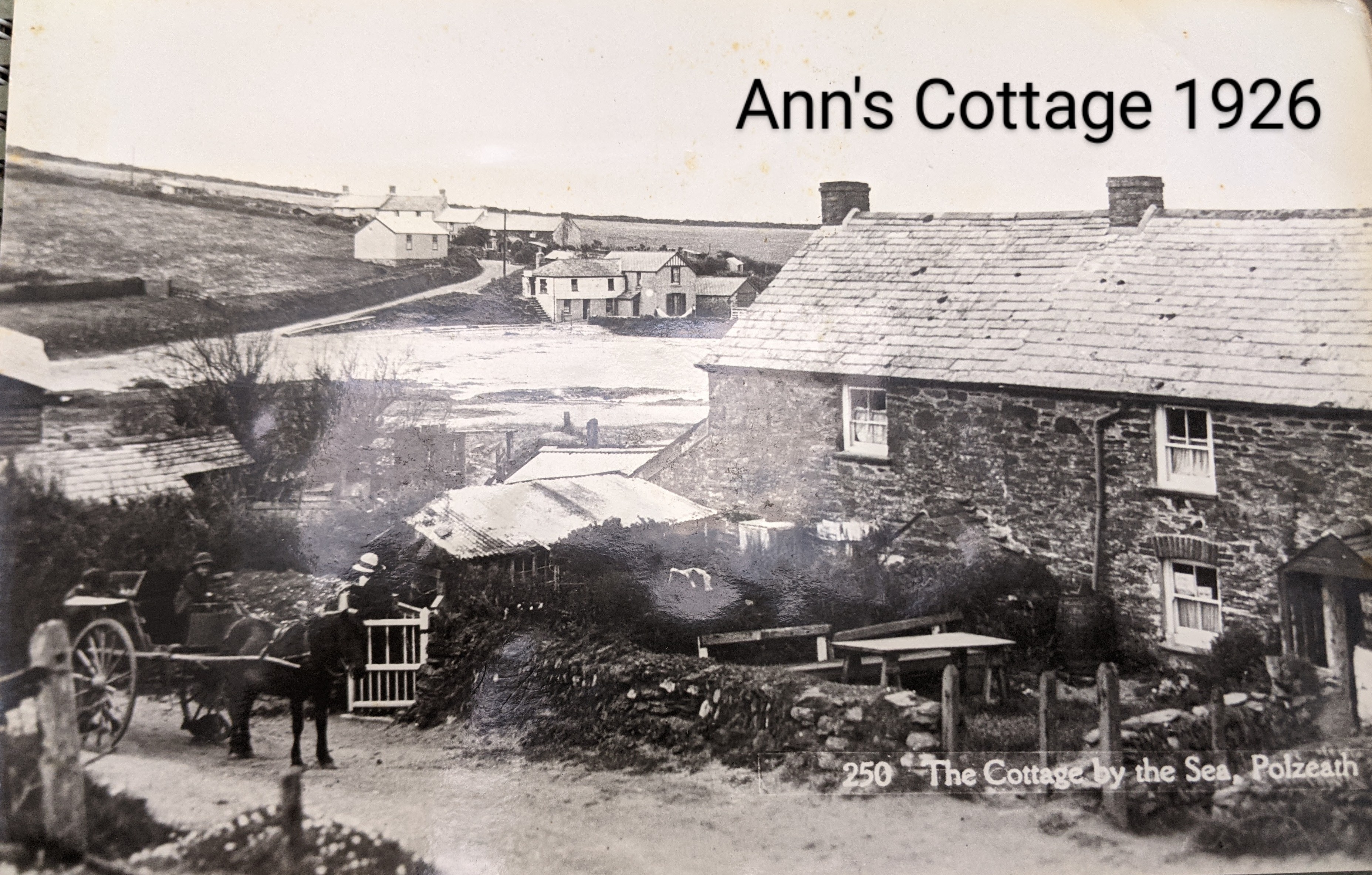 1926 Pony&Trap at Polzeath.jpg